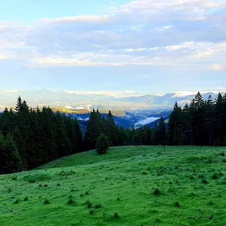 Apartma Bellevue Rogla Daire