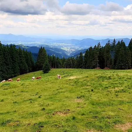 Apartma Bellevue Rogla * Vitanje