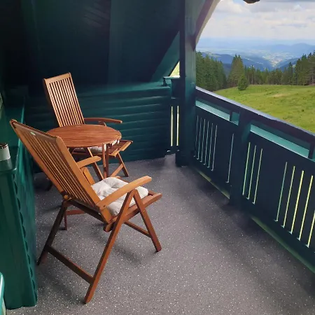 Apartment Apartma Bellevue Rogla *